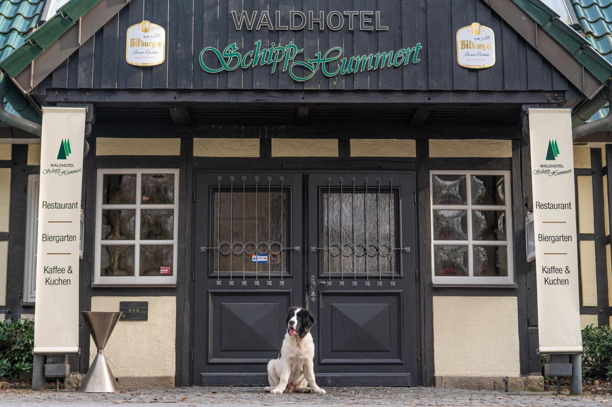 Waldhotel Schipp-Hummert 엠스데텐 외부 사진